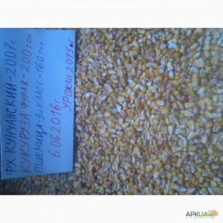 Продам фуражную кукурузу 200 тонн со склада. За нал