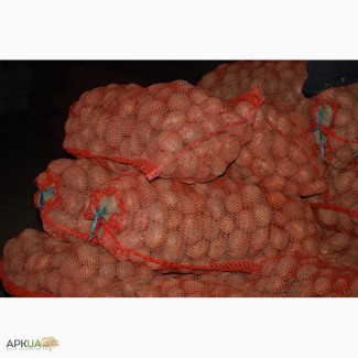 Семенной картофель Тирас, Беллароза, Ривьера, Гранада