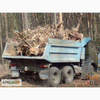 Обрезание деревьев, кустов Уборка территории и вывоз мусора