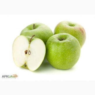 Продам яблоки оптом различных сортов: Голден, Гренни Смит, Флорина
