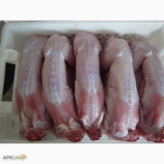 Продам мясо молодих кроликів - 20 шт, 1-1.2 кг. Ціна 50 грн- 1 тушка