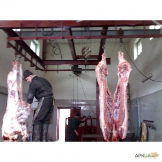 Продам мясоперерабатывающее предприятие(Бойню)