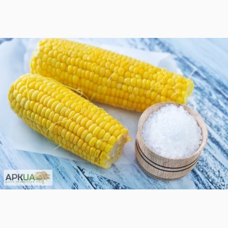 Производим приём Кукурузы по всей Украине