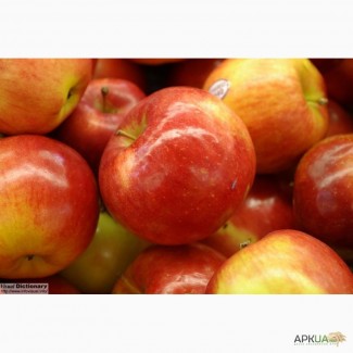 Продам яблоки оптом (Польша)