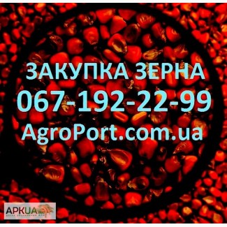 Принимаем зерно в портах Украины. Любая форма расчёта