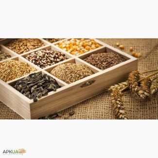 Закупка зерновых и масличных культур
