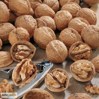 Куплю грецкие орехи очищенные 1600 кг в месяц, регулярно