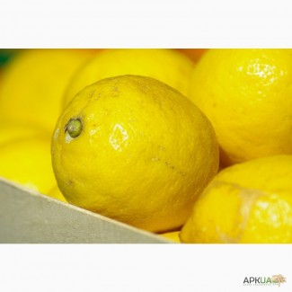 Лимоны оптом Турция