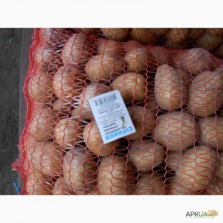 Продам картоплю з піска чернігівська обл борзнянський р-н с. комарівка