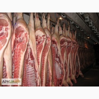 Продается оптом свинина в полутушах 1-2 категории от производителя