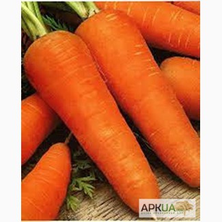 Продам семена Морковь Шантане