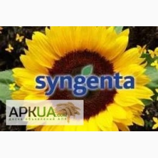 Семена подсолнечника Syngenta (Сингента).Каталог гибридов $цены