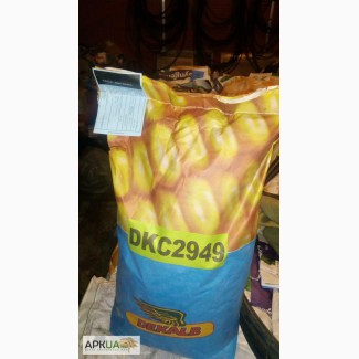 Семена кукуруза Monsanto (Монсанто) Dekalb