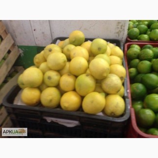 Мексиканский лимон