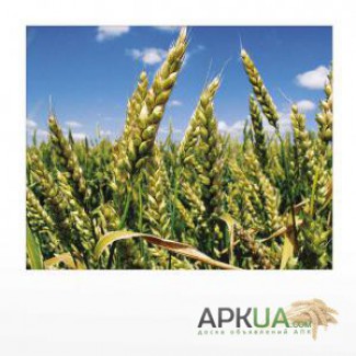 Продам гербіциди для захисту посівів пшениці, ячменю.