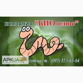 Компания Биоплюс продает недорого маточное поголовье червя