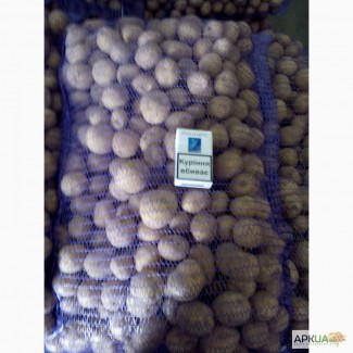 Элитный семенной картофель высочайшего качества с фермерского хозяйства
