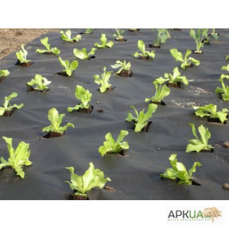 Агроволокно, спанбонд, защита от сорняков 50г/м2 3.20мх10 м черное