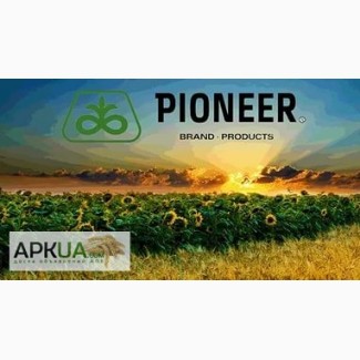 Pioneer (Пионер) Семена подсолнечника Каталог гибридов