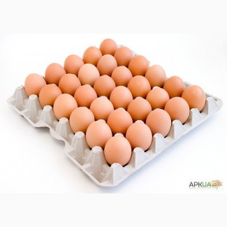 Яйца куриные столовые продам