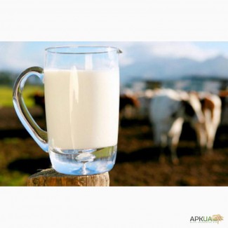 Закуповуємо молоко на вигідних умовах