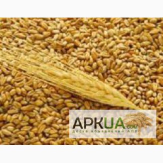 Куплю пшеницу по Луганской области - регулярно