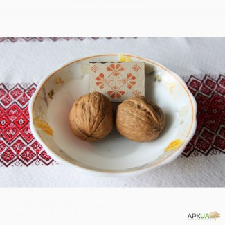 Интенсивные сорта грецких орехов
