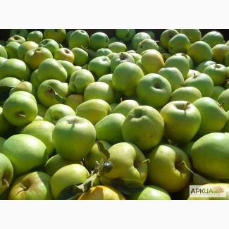 Яблоки Крым от производителя