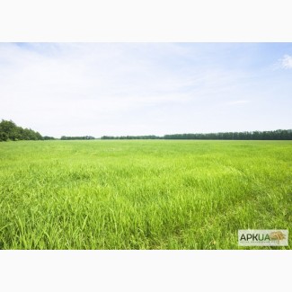 Продам земельну ділянку 3, 9 га в Київській області