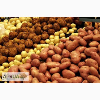 Продам картофель (цена договорная )