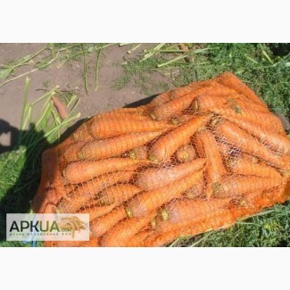 Продажа моркови 2 сорта для переработки оптом и крупным оптом