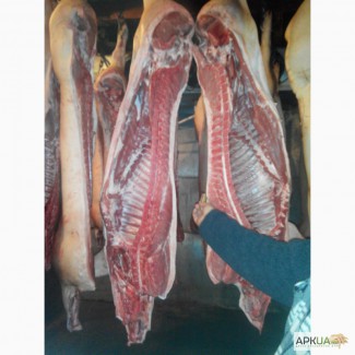 Проодаємо мясо свинини