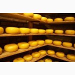 Продам сыр оптом сырный продукт