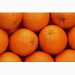 Продам апельсин оптом и в розницу с доставкой, прямая поставка с Турции, цена договорная