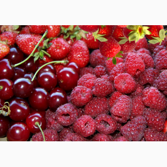 Закупаем ягоды МАЛИНЫ, ВИШНИ, БУЗИНЫ, АРОНИИ, сливу, грушу, абрикос