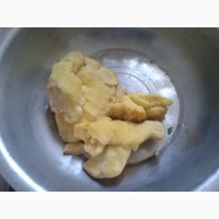 Продам гриб латипурус (трутовик серно-желтий) мороженний 2019 г сбора