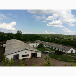 Продам ферму час езды от Киева, без посредников