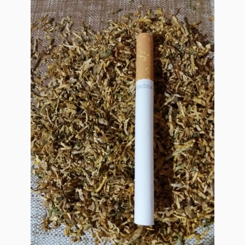 Фото 2. Тютюн відмінної якості