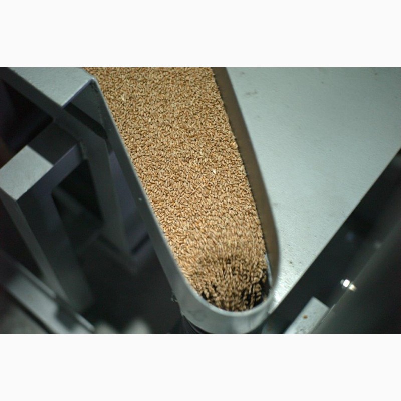 Фото 4. Очистка зерновых до 99.5% на МПО (решета) + КВ2 (калибровка), на вибропневмостоле