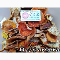 Мухомор ЧЕРВОНИЙ (Amanita Muscaria), сушені капелюшки. Сезон 2024