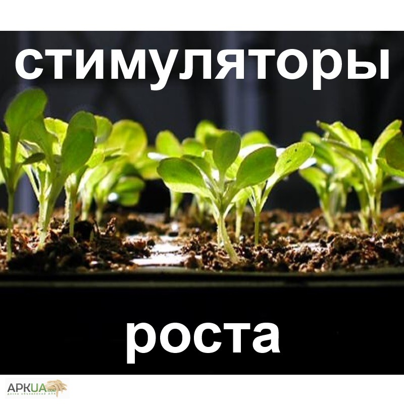 Стимулятор роста. Регуляторы роста растений. Стимулятор роста для растений. Замедленный рост растения.