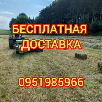 БЕСПЛАТНАЯ доставка сена по Украине. Разнотравье, люцерна, солома