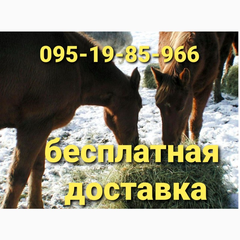 Фото 4. БЕСПЛАТНАЯ доставка сена по Украине. Разнотравье, люцерна, солома