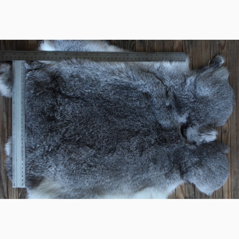 Фото 7. Шкуру кролика выделанную серую оптом продам