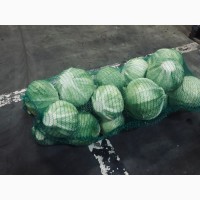 Продам капусту белокочанную Сторема (Производитель)