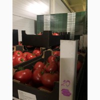 Продам розовые помидоры, импорт польша