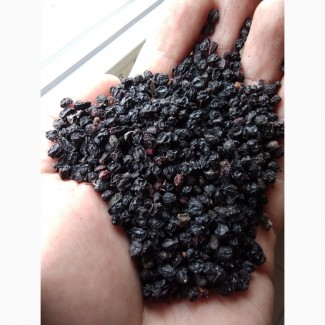 Продам сушену ягоду бузини переробленой об‘ємом 10 т