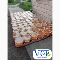 Пластикові відра харчова тара для меду ОПТОМ ВІД ВИРОБНИКА ЛУЦЬК