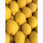 Продаем лимоны. Прямые поставки из Испании