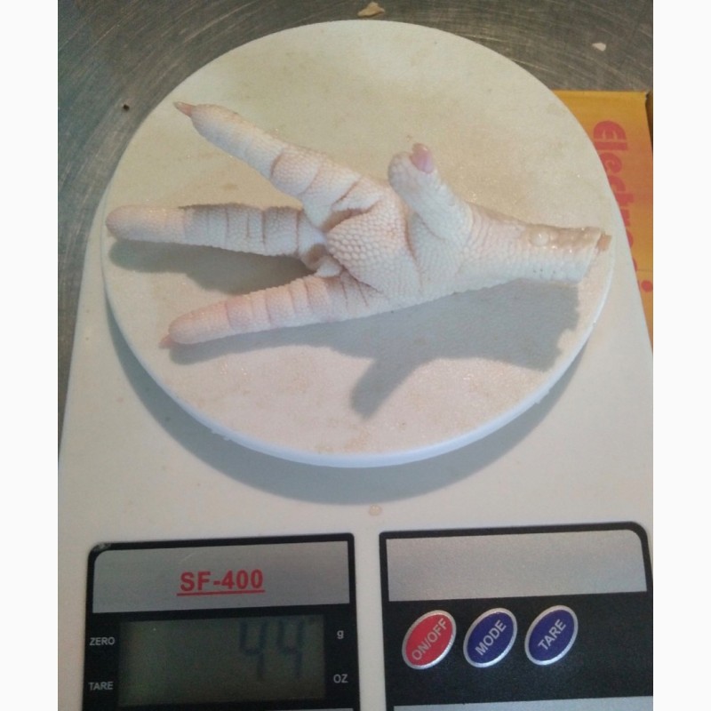 Фото 4. Замороженная куриная лапа класса А на экспорт / Frozen Chicken Paws Grade A for export